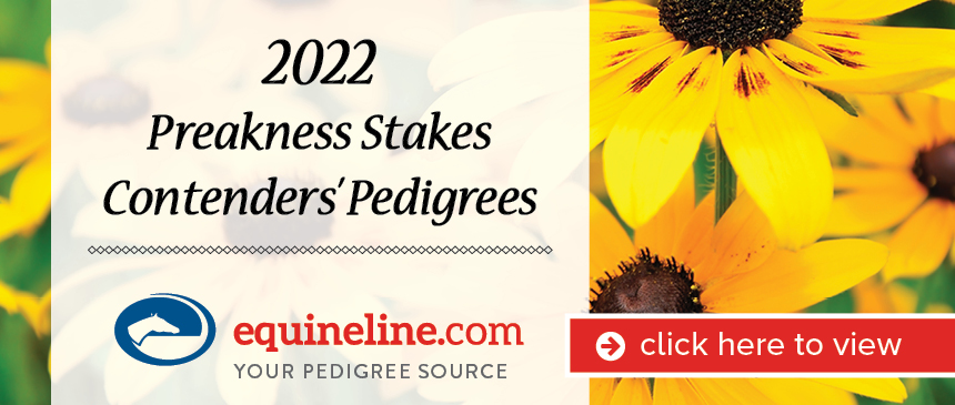 Preakness Pedigree 2022