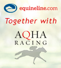 Quarter Horse & Reports